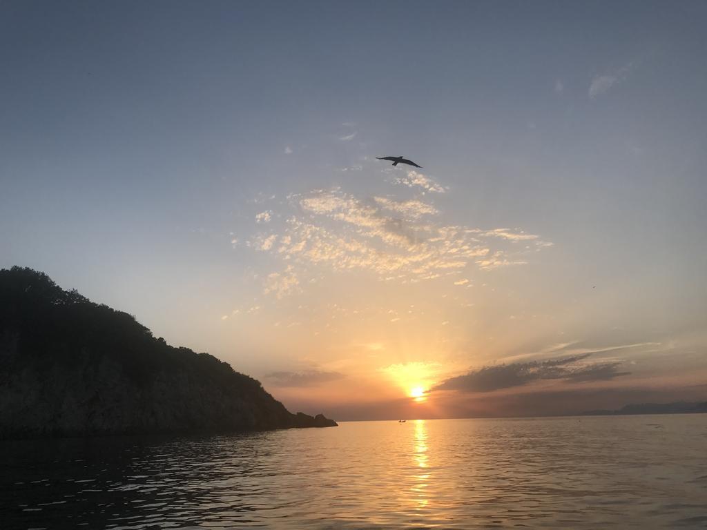 Odore Di Mare Utjeha Dış mekan fotoğraf